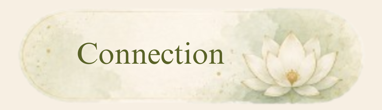 Identity -Connection
