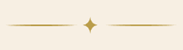 horizontal Divider Diamond Line